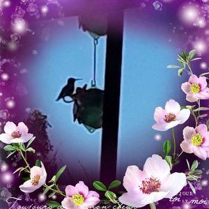 Meet your Posher, Janice